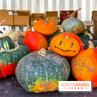 Automne au Potager du Roi - Citrouilles - Halloween