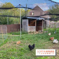La ferme pédagogique du parc des Chanteraines