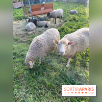 La ferme pédagogique du parc des Chanteraines