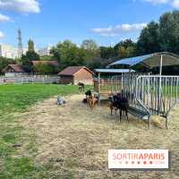 La ferme pédagogique du parc des Chanteraines