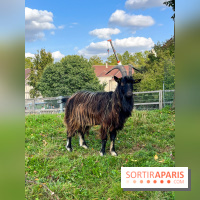 La ferme pédagogique du parc des Chanteraines