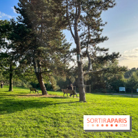 Le parc des Chanteraines