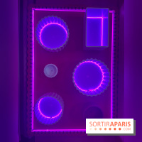 Secret Garden, le brunch immersif dans le 13e - image00067