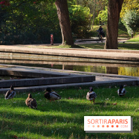 Parc de Bercy visuels