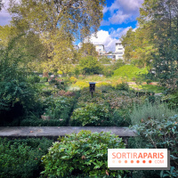 Parc de Bercy visuels - IMG 0163