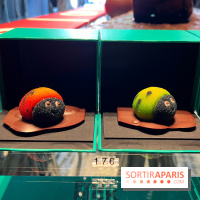 Créations 2023 Patrick Roger