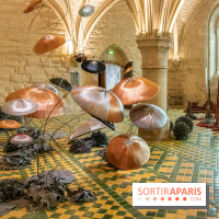 Exposition Entre Les Murs de Tanja Smeets et Karin van Dam Abbaye de Maubuisson