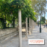 Le Square Marcel Bleustein Blanchet, dit de la Turlure