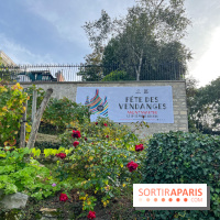 Fête Vendanges 2023 vignes