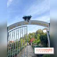 Vignes Montmartre