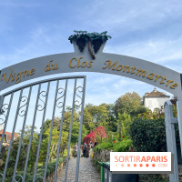 Vignes Montmartre