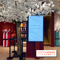 Rituals Mind Oasis - institut de relaxation mentale sur les Champs-Élysées