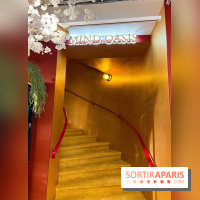 Rituals Mind Oasis - institut de relaxation mentale sur les Champs-Élysées - image00048