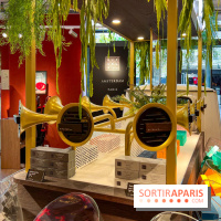 Rituals Mind Oasis - institut de relaxation mentale sur les Champs-Élysées - image00053