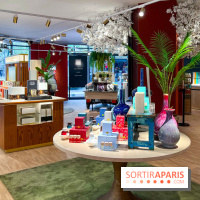 Rituals Mind Oasis - institut de relaxation mentale sur les Champs-Élysées