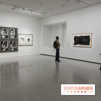 Mike Kelley à la Bourse de Commerce - IMG 1130