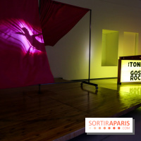 Mike Kelley à la Bourse de Commerce - IMG 1181