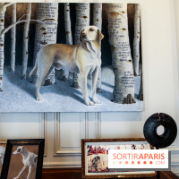 Sean Landers, les photos de son expo au Musée de la Chasse et de la Nature - IMG 1260