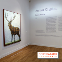 Sean Landers, les photos de son expo au Musée de la Chasse et de la Nature