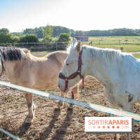 La Prairie The Oasis House chevaux