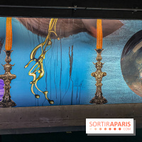 Doppelganger ! expo Jakob Lena Knebl Ashley Hans Scheirl Palais de Tokyo