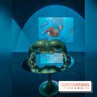 Doppelganger ! expo Jakob Lena Knebl Ashley Hans Scheirl Palais de Tokyo