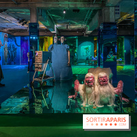 Doppelganger ! expo Jakob Lena Knebl Ashley Hans Scheirl Palais de Tokyo