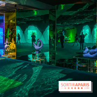 Doppelganger ! expo Jakob Lena Knebl Ashley Hans Scheirl Palais de Tokyo