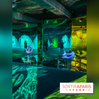 Doppelganger ! expo Jakob Lena Knebl Ashley Hans Scheirl Palais de Tokyo