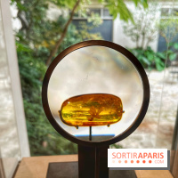 Trésors de la Mer Baltique - IMG 5838