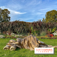 Paris+ par Art Basel 2023 aux Tuileries - Zanele Muholi - The politics of black