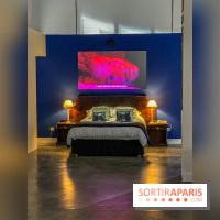 Exposition Lili Reynaud-Dewar Palais de Tokyo