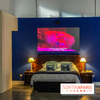 Exposition Lili Reynaud-Dewar Palais de Tokyo