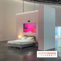 Exposition Lili Reynaud-Dewar Palais de Tokyo