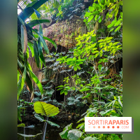 Automne Tropical 2023