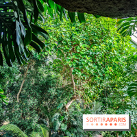 Automne Tropical 2023