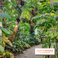 Automne Tropical 2023