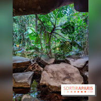 Automne Tropical 2023