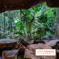 Automne Tropical 2023