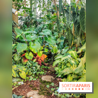 Automne Tropical 2023