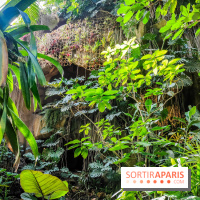 Automne Tropical 2023