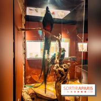 Choco Story, le musée du chocolat hyper gourmand à Paris