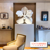 Les Fleurs du Mal, l'exposition gratuite sur les fleurs à la Maison Guerlain - Champs-Élysées - image00064