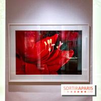 Les Fleurs du Mal, l'exposition gratuite sur les fleurs à la Maison Guerlain - Champs-Élysées - image00075