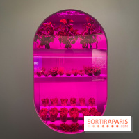 Mission spatiale - IMG 2811