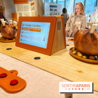 L'économie selon Astérix - IMG 6002