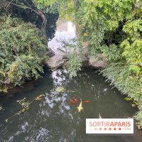 Le parc Montsouris - nos photos - image00045