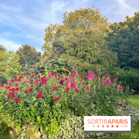 Le parc Montsouris - nos photos - image00012