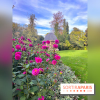 Le parc Montsouris - nos photos - image00014