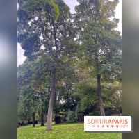 Le parc Montsouris - nos photos - image00004